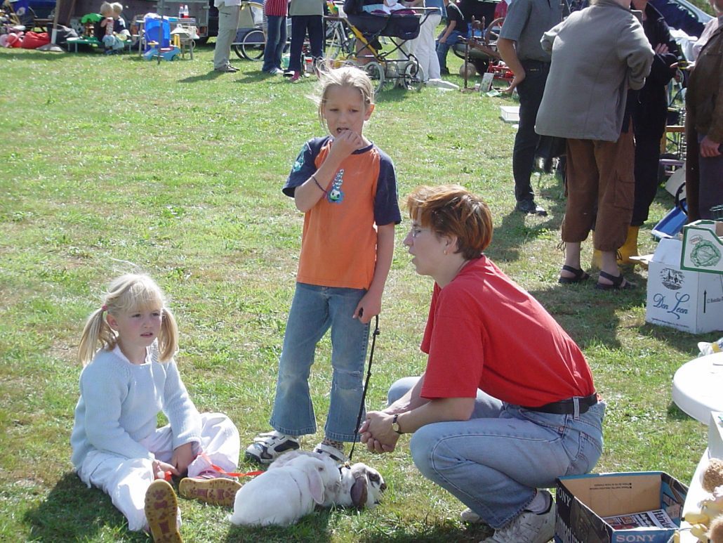 Dyrskue – markedsdag