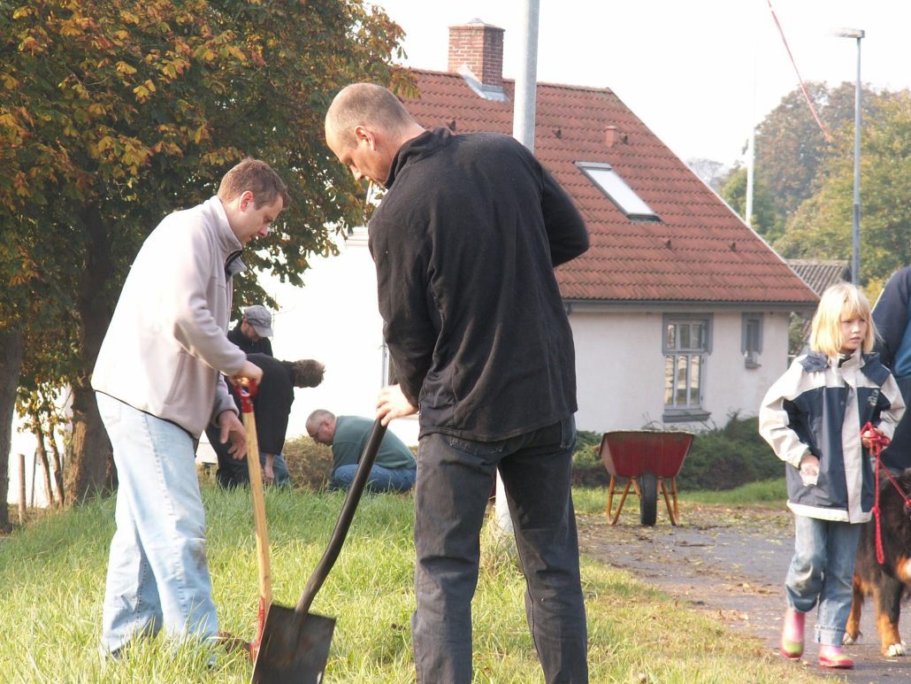 Påskeliljer