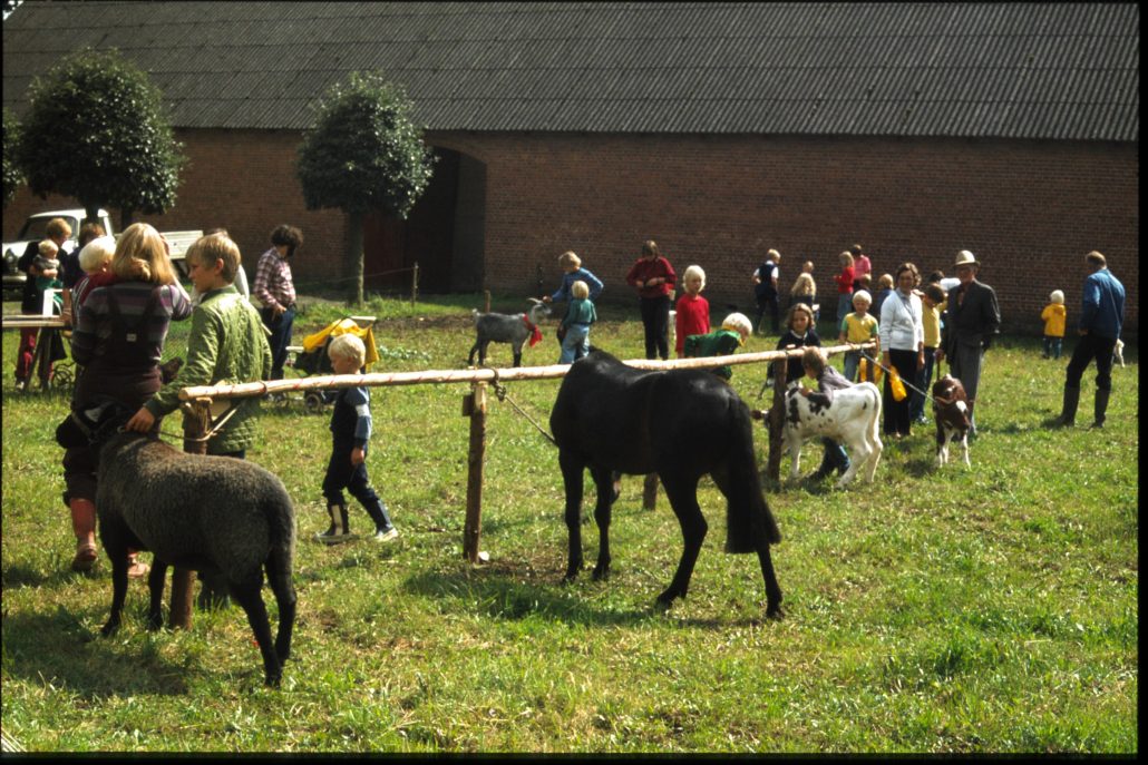 Dyrskue – markedsdag
